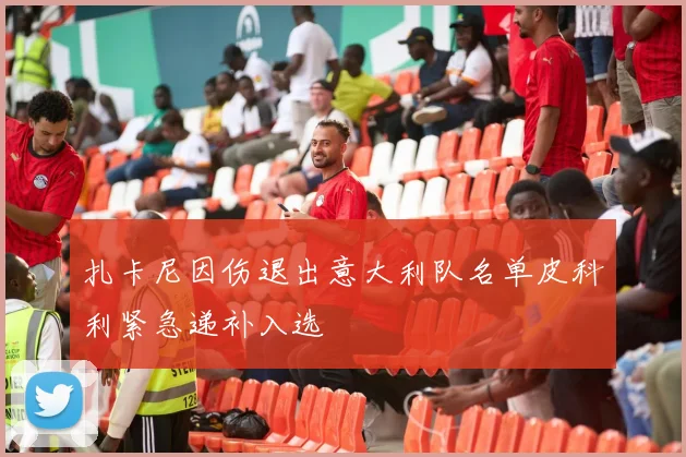 扎卡尼因伤退出意大利队名单皮科利紧急递补入选