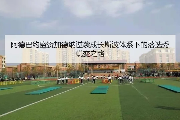 阿德巴约盛赞加德纳逆袭成长斯波体系下的落选秀蜕变之路 - kaiyuansports